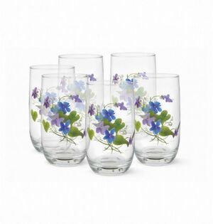 Floral Arcoroc France Glass Tumbler Signed by artist JWALSH set of 6
